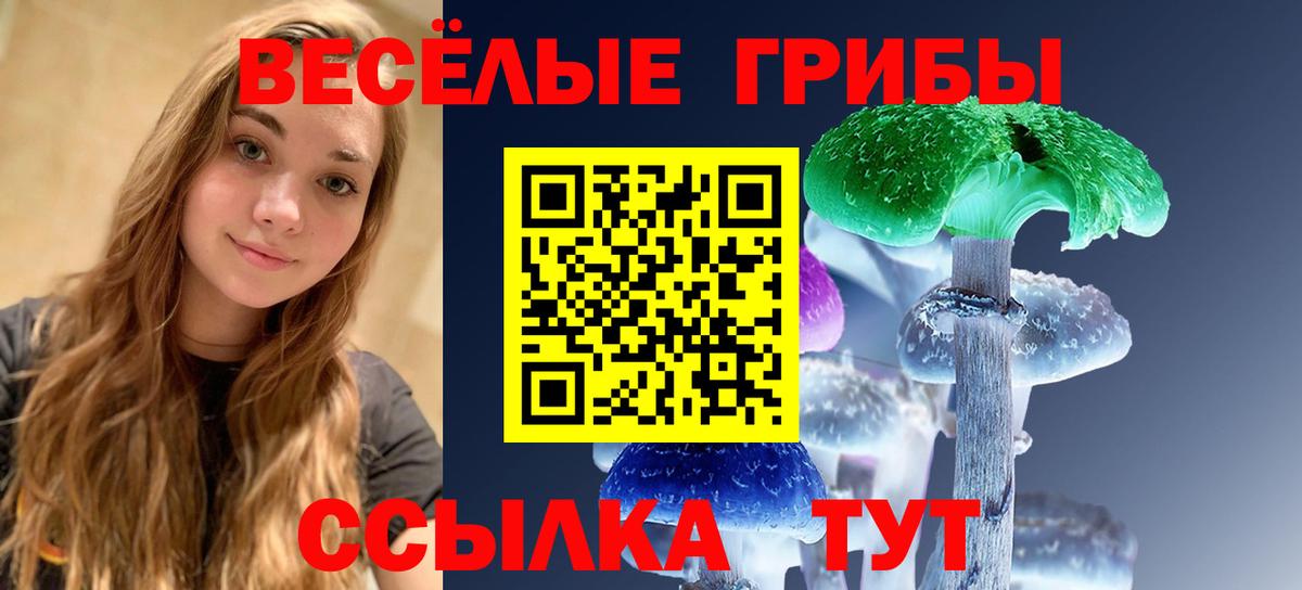 Галлюциногенные грибы прущие грибы  Галлюциногенные грибы Psilocybe  Великий Устюг  Вход с VPN 